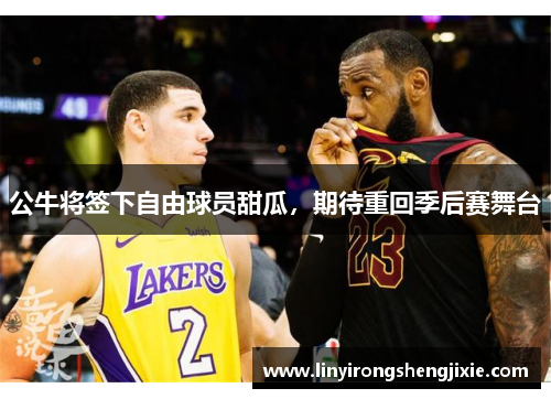 公牛将签下自由球员甜瓜，期待重回季后赛舞台