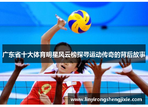 广东省十大体育明星风云榜探寻运动传奇的背后故事