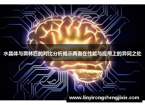 水晶体与奥林匹的对比分析揭示两者在性能与应用上的异同之处